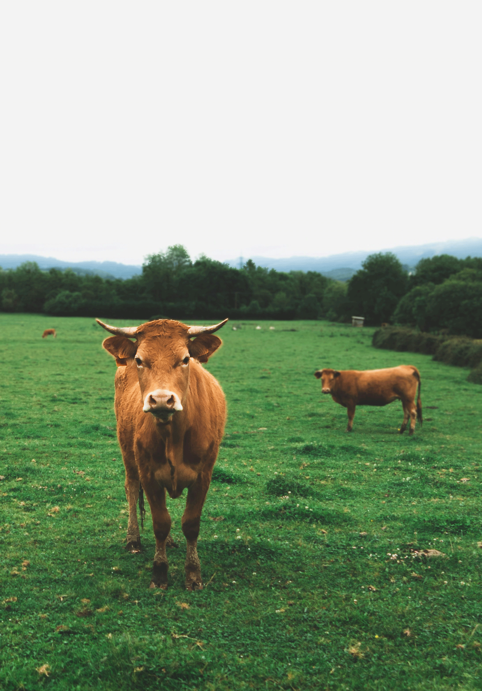 javier-esteban-nwEq4B60Xx0-unsplash-(1)